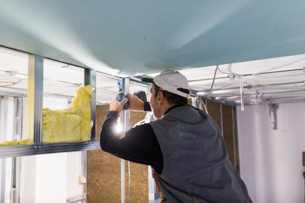 Best Specialized Insulation Services in Lake Magdalene, FL