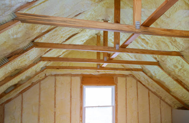 Best Fiberglass Insulation in Lake Magdalene, FL
