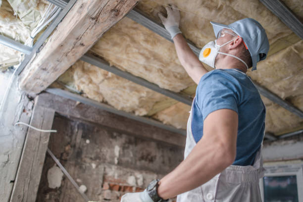 Best Blown-in Insulation in Lake Magdalene, FL