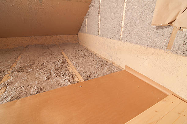 Trusted Lake Magdalene, FL Insulation Contractor Experts